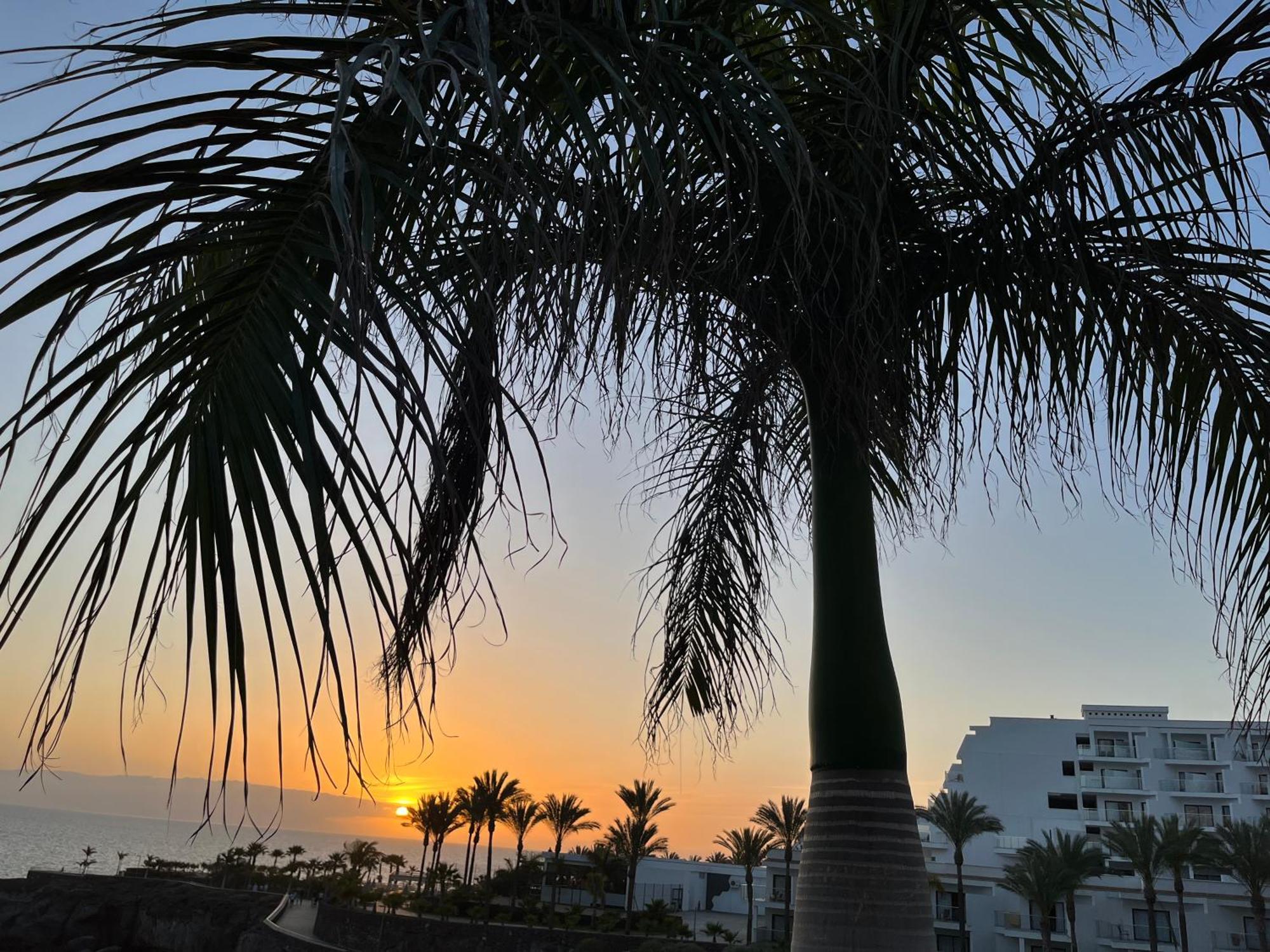 Ocean View Apartment In Club Paraiso, Pp139 아데제 외부 사진
